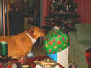 xmas01jgift1.jpg (38090 bytes)